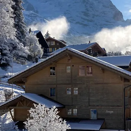 公寓 Sunnsyta By Interhome 翁根