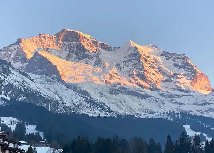 Sunnsyta By Interhome * Wengen